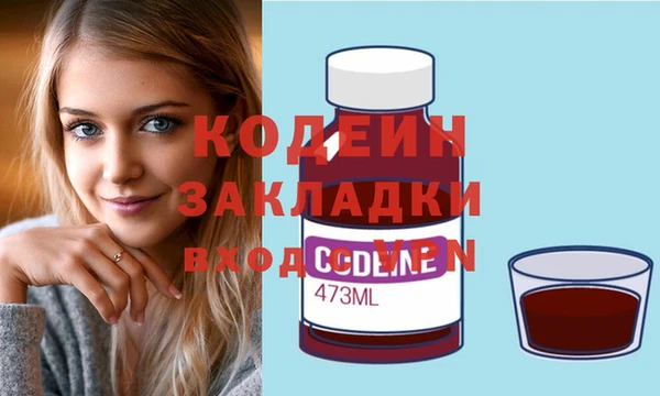 дмт Каменка