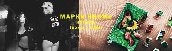 дмт Каменка