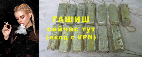 дмт Каменка