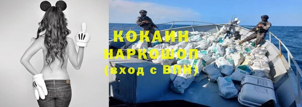 дмт Каменка