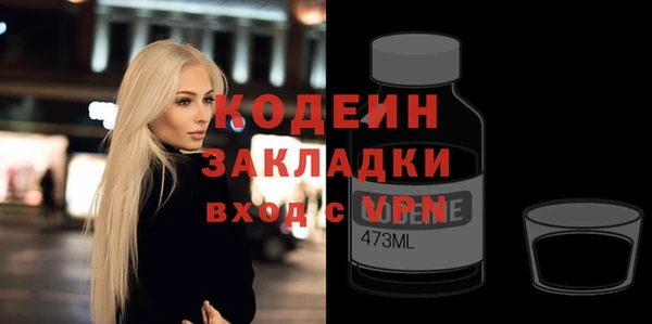 дмт Каменка