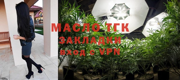 дмт Каменка