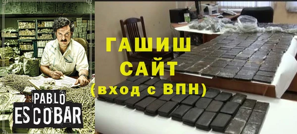 дмт Каменка