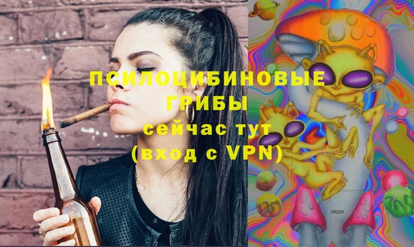 дмт Каменка