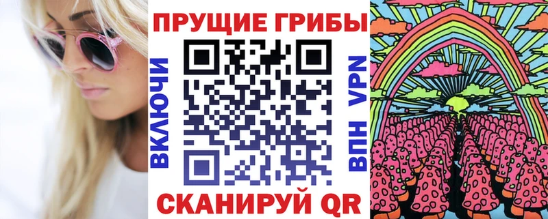 Купить закладки  Кимовск  Псилоцибиновые грибы Psilocybe 